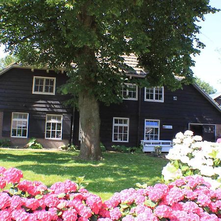 Apartmán Op Zestien Hippolytushoef Exteriér fotografie